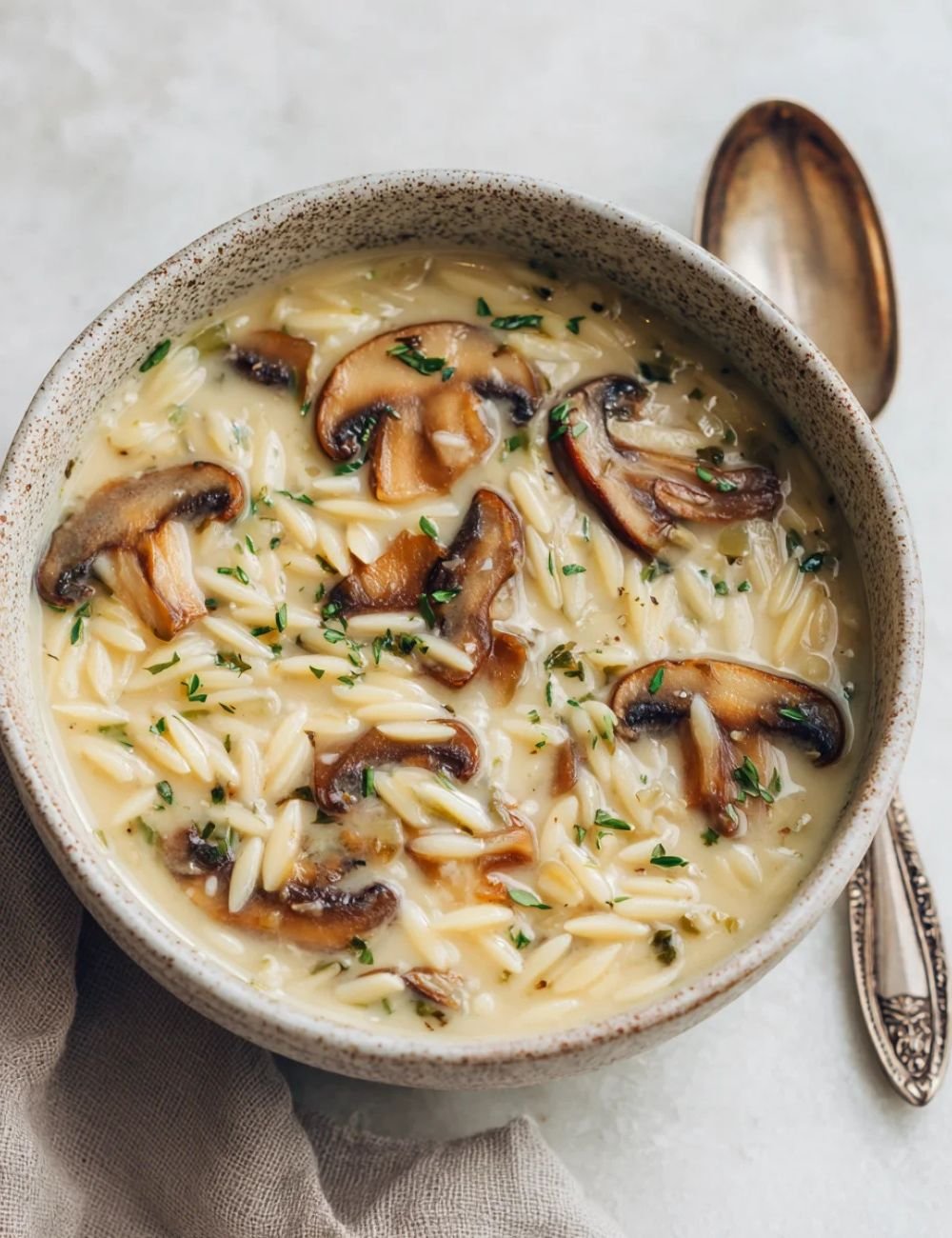 Creamy Mushroom Orzo Soup